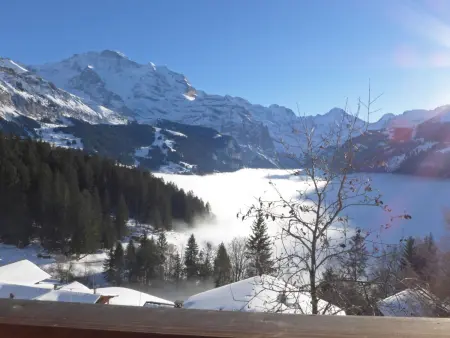 Jungfrau a d Ledi, Chalet 5 personnes à Wengen - Photo 38
