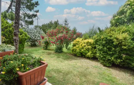 Location Maison 6 personnes à Canino - Photo 12