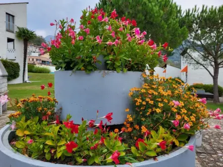 Villaggio Sureggio A4 mit TicinoTicket, Appartement 5 personnes à Lugaggia - Photo 31