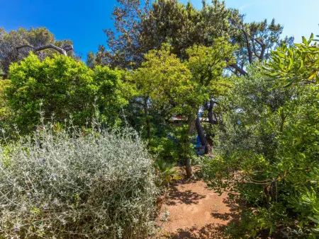 I Lecci, Maison 4 personnes à Castiglioncello - Photo 26