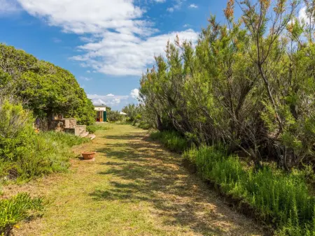 Il Giardino sul Mare, Maison 5 personnes à Castiglioncello - Photo 31