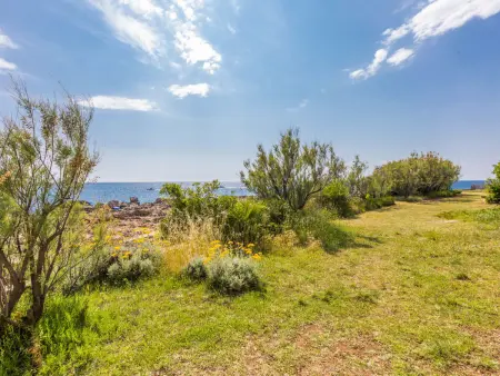 Il Giardino sul Mare, Maison 5 personnes à Castiglioncello - Photo 34