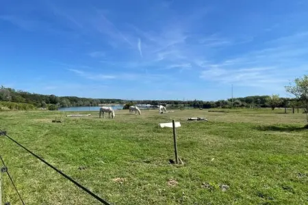 Ravinala, Cottage à Vaires-sur-Marne près d'un lac forestier - Photo 18