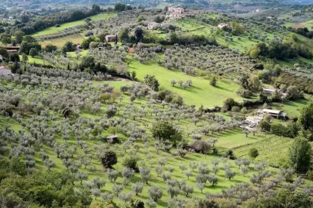 Lavanda, Ferme à Casperia avec piscine et vue - Photo 34