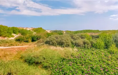 Location Appartement 4 personnes à Bredene - Photo 16