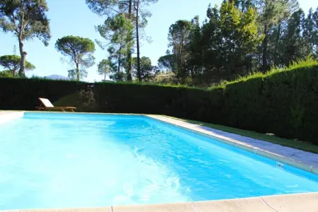 Casa do Pelourinho, Maison à Santa Comba avec Piscine - Photo 6