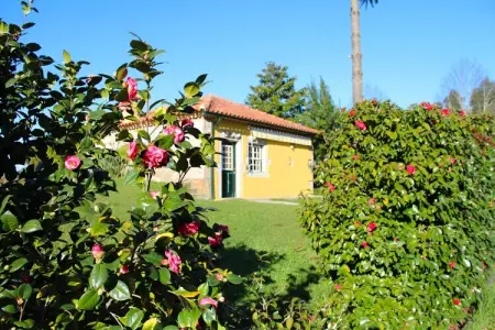 Casa do Pelourinho, Maison à Santa Comba avec Piscine - Photo 21
