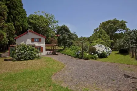 Quinta das Colmeias Cottage, Cottage à Madère près du golf Santo da Serra - Photo 5