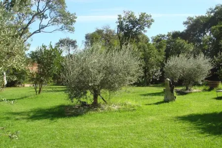 Résidence le Maquis Plage Type 1, Maison de vacances en Corse plage - Photo 2