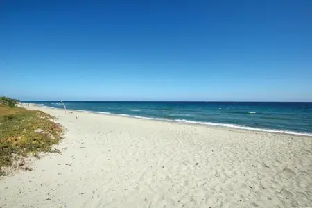 Résidence le Maquis Plage Type 1, Maison de vacances en Corse plage - Photo 18