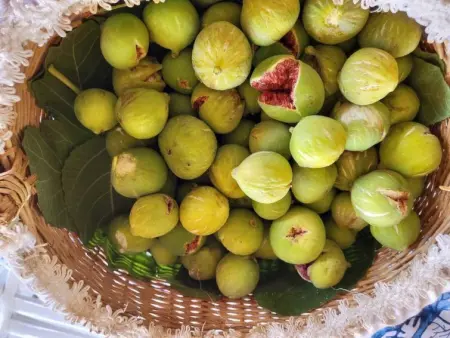 Stazzu lu Bulioni, Gite 8 personnes à Arzachena - Photo 15