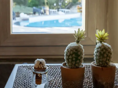 Stazzu lu Bulioni, Gite 8 personnes à Arzachena - Photo 18