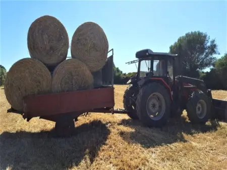 Stazzu lu Bulioni, Gite 8 personnes à Arzachena - Photo 61