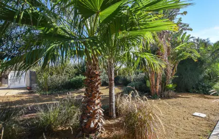 Location Maison 7 personnes à Santa Croce Camerina - Photo 13