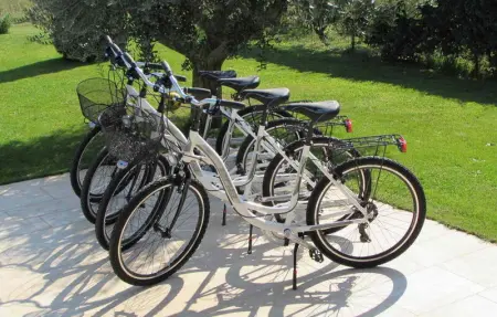 House Leticia, Maison 8 personnes à Fazana - Photo 43