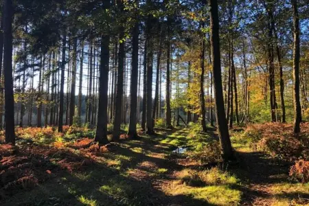 Abri Vert, Appartement en Belgique près des sites touristiques - Photo 31