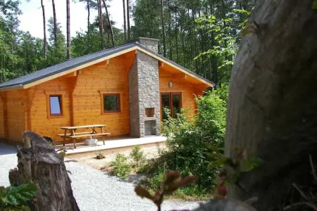 Abri Vert, Appartement en Belgique près des sites touristiques - Photo 35