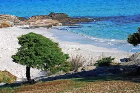 Sea villas sei, Maison à Stintino près de la plage - Photo 28