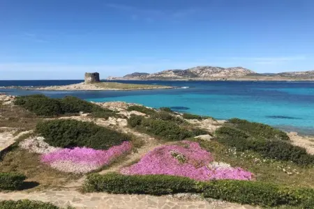 Sea villas sei, Maison à Stintino près de la plage - Photo 33