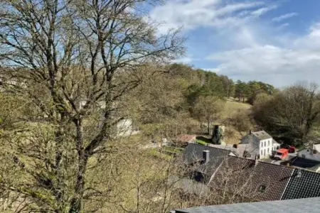 La Chevalerie, Maison à Somme-Leuze près des Ardennes - Photo 24