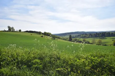 Li Saboti, Maison de vacances patrimoniale à Roumont - Photo 28