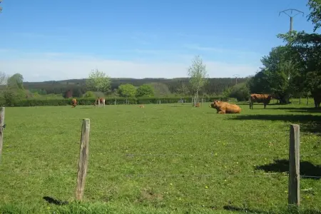 Li Saboti, Maison de vacances patrimoniale à Roumont - Photo 39