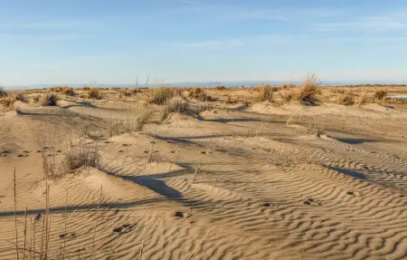 Location Maison 6 personnes à Aigues Mortes - Photo 22