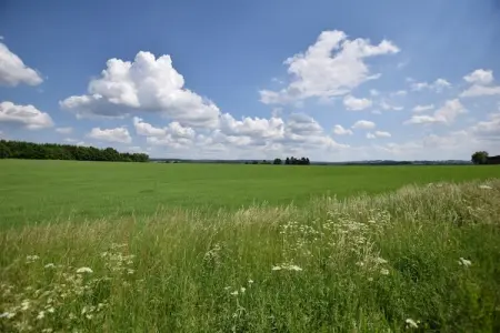 La Chanterelle, Villa familiale avec sauna - Photo 34
