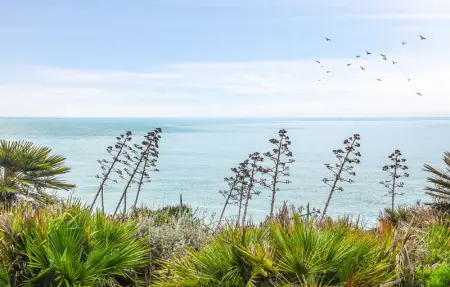 Location Maison 4 personnes à Sangineto - Photo 11