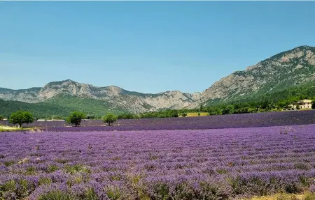 Location Maison 4 personnes à Visan - Photo 14