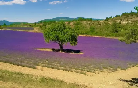 Location Maison 4 personnes à Visan - Photo 19