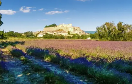 Location Maison 4 personnes à Visan - Photo 20