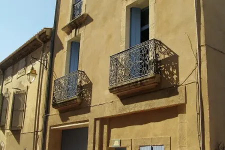 Au coeur du Languedoc, Ancien chai avec terrasse et jardin - Photo 12