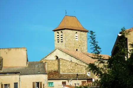 Au coeur du Languedoc, Ancien chai avec terrasse et jardin - Photo 35