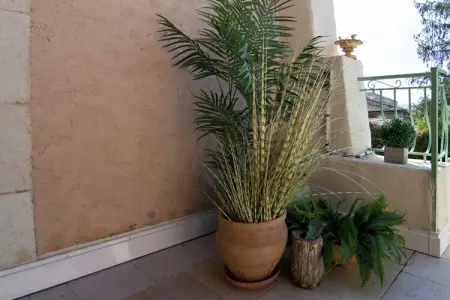 Au coeur du Languedoc, Ancien chai avec terrasse et jardin - Photo 40