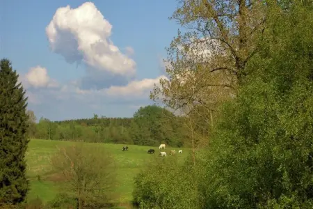 Les Vateaux, Maison à Sart avec Sauna et Vue Campagne - Photo 32