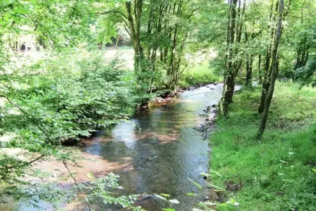 Les Vateaux, Maison à Sart avec Sauna et Vue Campagne - Photo 33