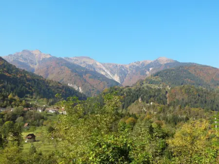 La Corleta di Sora, Appartement 4 personnes à Ovaro - Photo 25