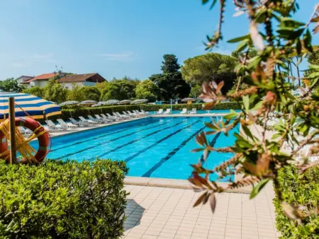 Bilo Standard, Appartement 4 personnes à Marina di Bibbona - Photo 19