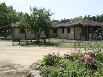 Gite à Brocas,Chalet Familial avec Activités de Plein Air au Cœur des Landes de Gascogne FR-1-360-214 N°977790