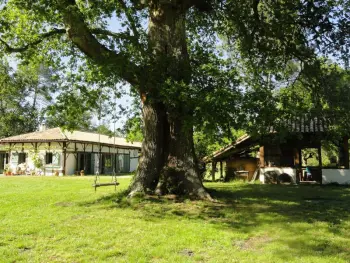 Gite à Luglon,Havre de paix avec piscine, charme et authenticité au cœur des Landes de Gascogne. FR-1-360-316 N°977812