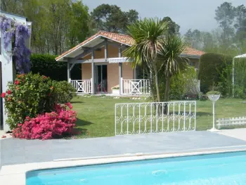 Gite à Saint Vincent de Paul,Gîte Prune : calme, piscine, proche de Dax et plages, tout confort, 1 chambre, terrasse privative FR-1-360-361 N°977825