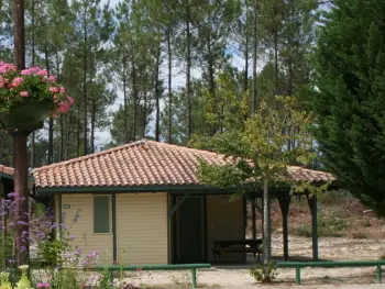 Gite à Brocas,Chalet familial avec terrasse, activités sur place, parc naturel des Landes, animaux acceptés FR-1-360-382 N°977829