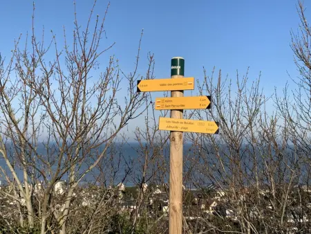 Maison spacieuse avec piscine à Jullouville, Gite 15 personnes à Jullouville - Photo 32