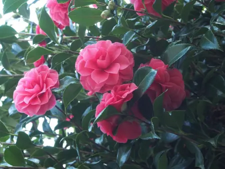 Maison spacieuse avec jardin clos et wifi à Sainte-Marie-du-Mont - Photo 26