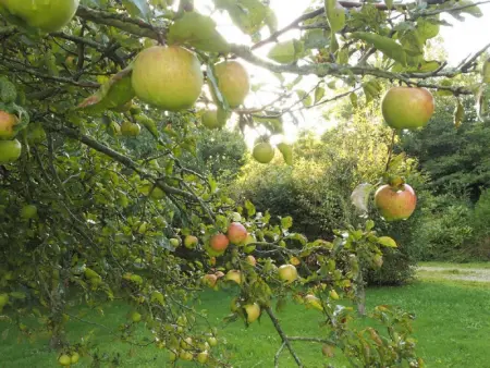 Maison spacieuse avec jardin clos et wifi à Sainte-Marie-du-Mont - Photo 27