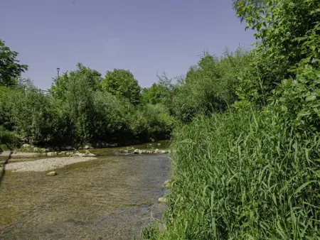 Charmant gîte avec terrasse, proche centre Troyes, animaux acceptés, équipements complets. - Photo 20