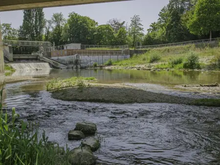 Charmant gîte avec terrasse, proche centre Troyes, animaux acceptés, équipements complets. - Photo 21