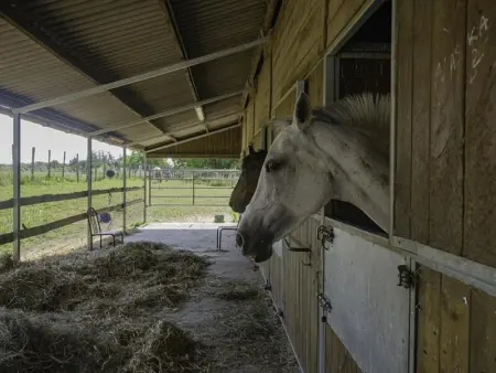 Charmant gîte avec terrasse, proche centre Troyes, animaux acceptés, équipements complets. - Photo 22