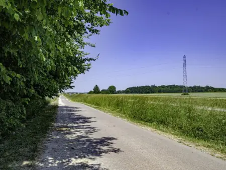 Charmant gîte avec terrasse, proche centre Troyes, animaux acceptés, équipements complets. - Photo 23